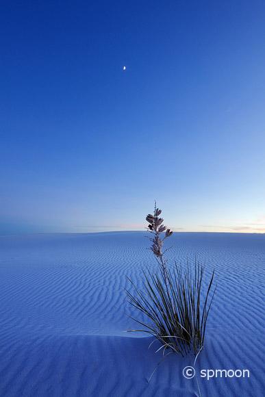 White Sands at Night