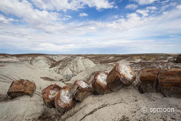 Painted desert in Petrified Forest National Park