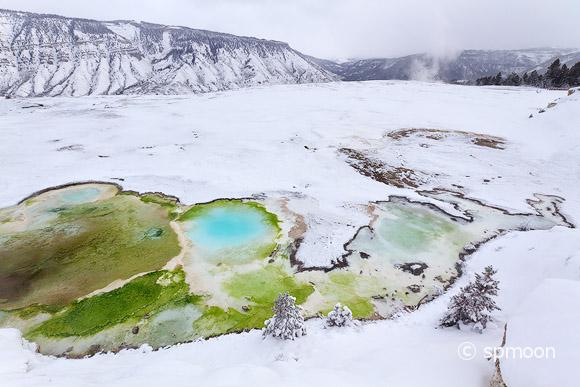 Colorful geyser in snow at Mammoth Hot Springs area, Yellowstone National Park.