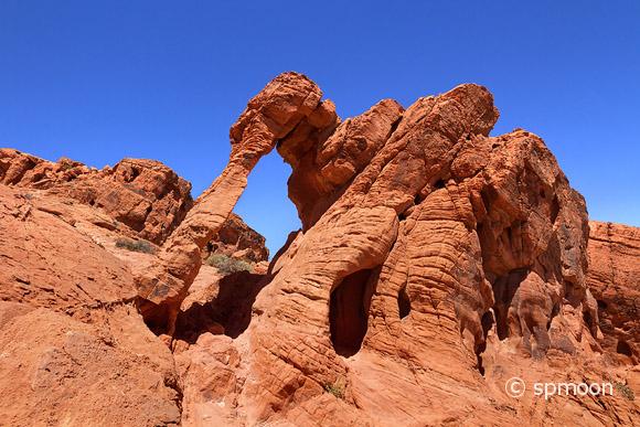 Elephant Rock, Valley of Fire State Park, Nevada.