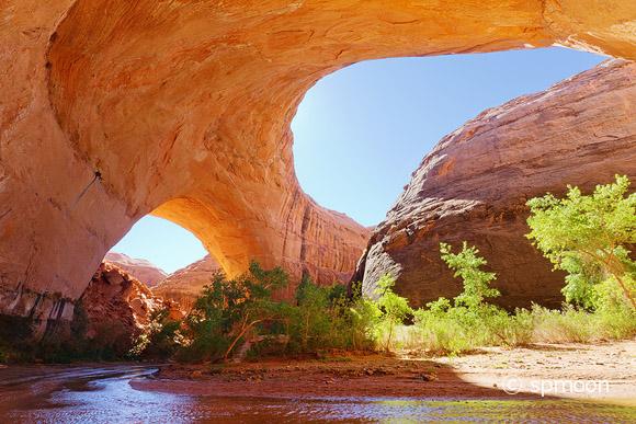 Jacob Hamblin Arch at Coyote Gulch in morning light, Grand Staircase-Escalante National Monument, UT.