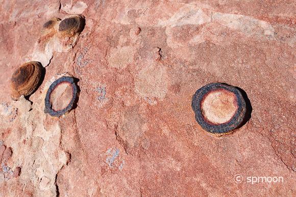 Moqui Marbles (Iron Oxide Concretions) from Navajo Sandstone, Grand Staircase-Escalante National Monument, UT.
