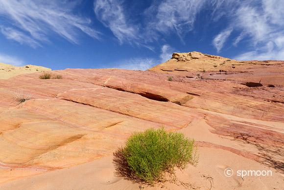 Colorful sandstone rock formation called Pink Canyon, Valley of Fire State Park, NV